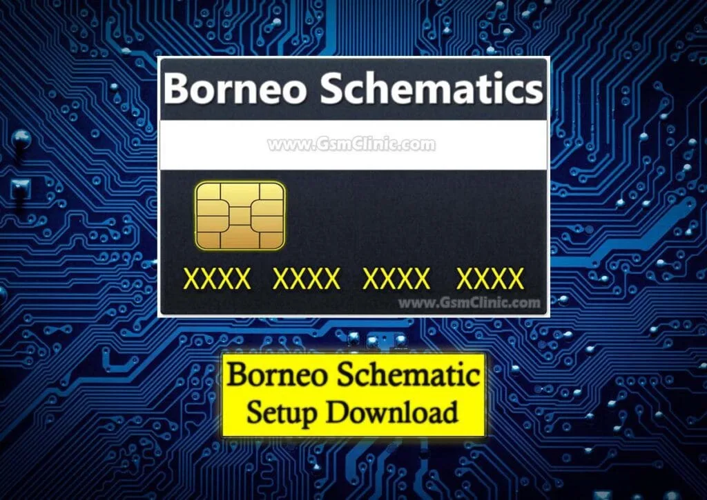 borneo schematic setup