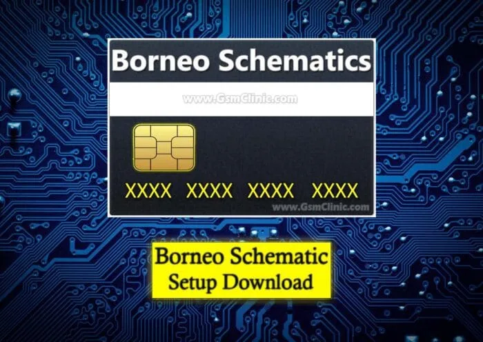 borneo schematic setup