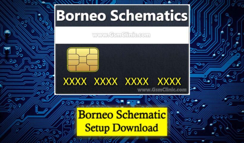 borneo schematic setup
