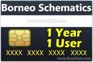 borneo schematic activation price