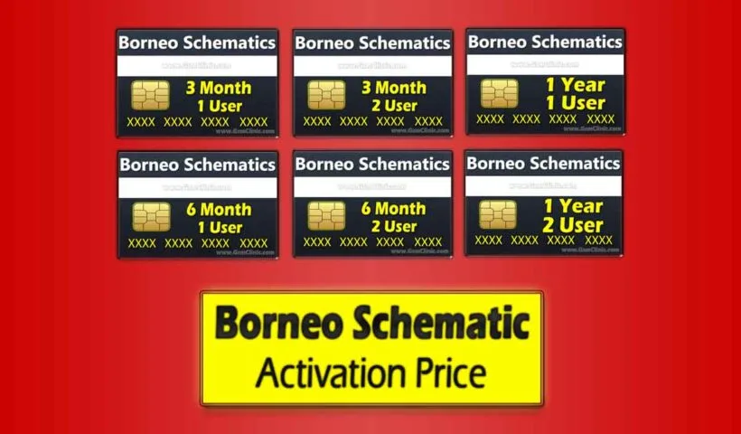 borneo schematic price